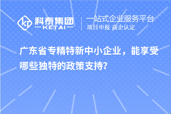 廣東省專精特新中小企業(yè)，能享受哪些獨(dú)特的政策支持？