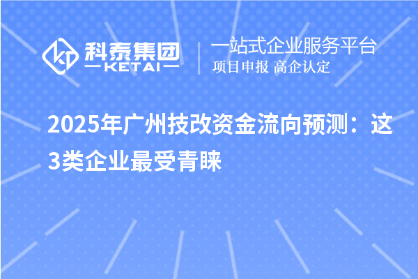 2025年廣州技改資金流向預(yù)測：這3類企業(yè)最受青睞