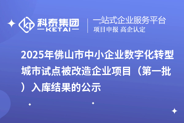 2025年佛山市中小企業(yè)數(shù)字化轉(zhuǎn)型城市試點(diǎn)被改造企業(yè)項(xiàng)目(第一批) 入庫(kù)結(jié)果的公示
