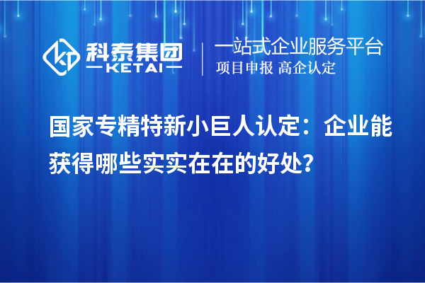 國(guó)家專精特新小巨人認(rèn)定：企業(yè)能獲得哪些實(shí)實(shí)在在的好處？