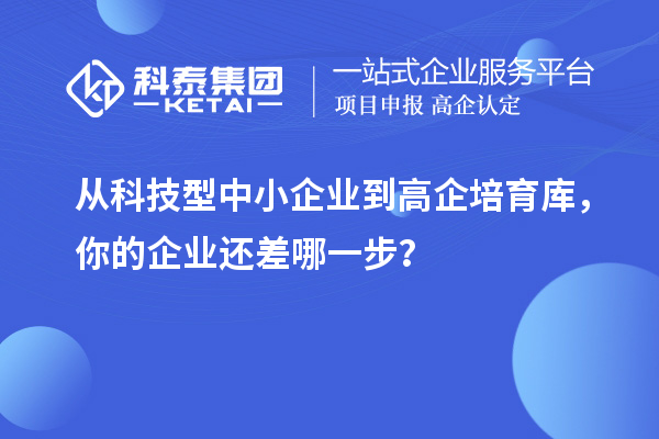 從科技型中小企業(yè)到高企培育庫，你的企業(yè)還差哪一步？