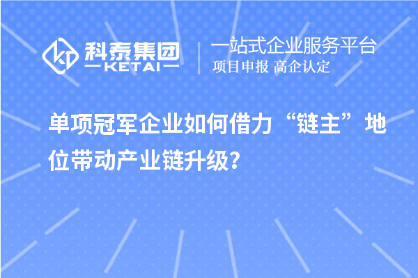 單項冠軍企業(yè)如何借力“鏈主”地位帶動產(chǎn)業(yè)鏈升級？