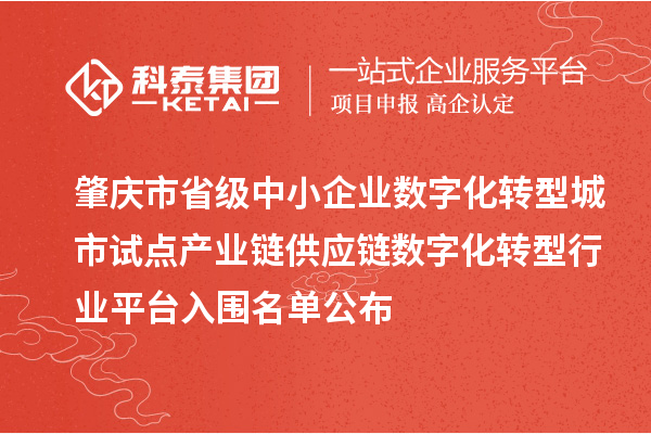 肇慶市省級中小企業(yè)數(shù)字化轉型城市試點產(chǎn)業(yè)鏈供應鏈數(shù)字化轉型行業(yè)平臺入圍名單公布