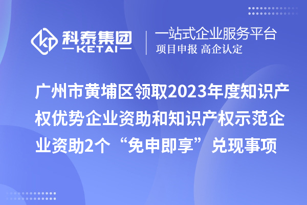 廣州市黃埔區(qū)領取2023年度知識產權優(yōu)勢企業(yè)資助和知識產權示范企業(yè)資助2個“免申即享” 兌現事項資金