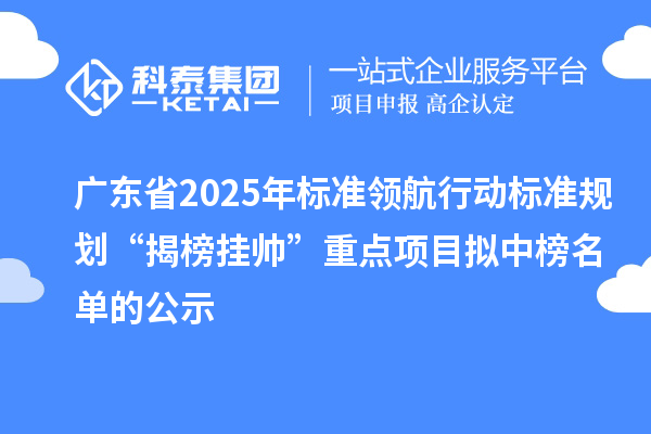 廣東省2025年標準領(lǐng)航行動標準規(guī)劃“揭榜掛帥”重點項目擬中榜名單的公示