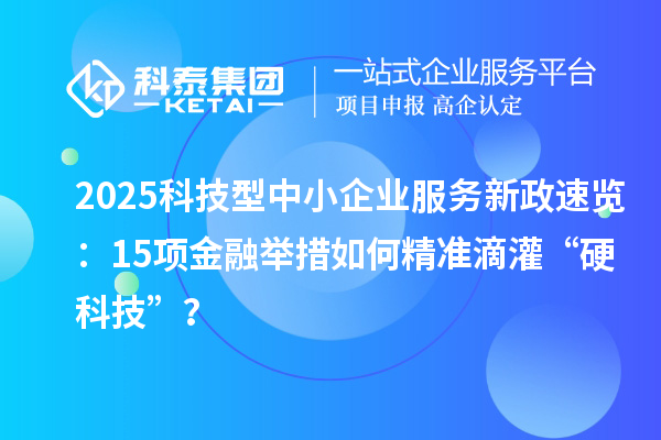 2025科技型中小企業(yè)服務(wù)新政速覽：15項(xiàng)金融舉措如何精準(zhǔn)滴灌“硬科技”？
