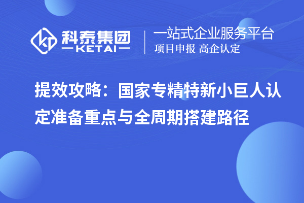 提效攻略：國家專精特新小巨人認定準備重點與全周期搭建路徑