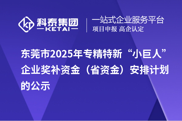 東莞市2025年專精特新“小巨人”企業(yè)獎(jiǎng)補(bǔ)資金(省資金)安排計(jì)劃的公示