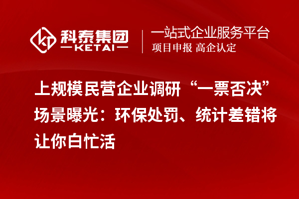 上規(guī)模民營企業(yè)調(diào)研“一票否決”場景曝光：環(huán)保處罰、統(tǒng)計(jì)差錯(cuò)將讓你白忙活