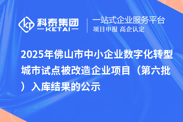 2025年佛山市中小企業(yè)數(shù)字化轉(zhuǎn)型城市試點(diǎn)被改造企業(yè)項(xiàng)目（第六批）入庫結(jié)果的公示