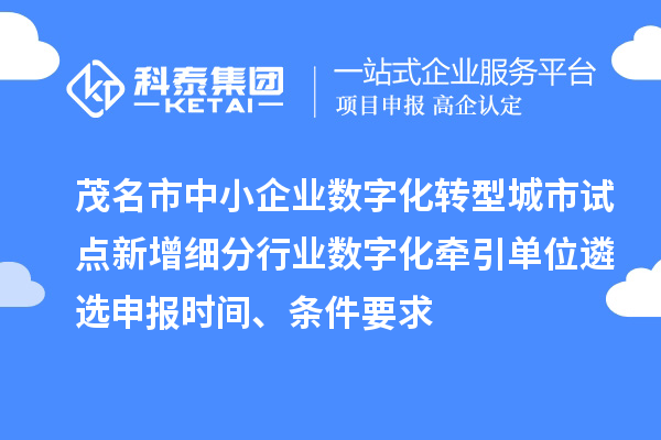 茂名市中小企業(yè)數(shù)字化轉(zhuǎn)型城市試點(diǎn)新增細(xì)分行業(yè)數(shù)字化牽引單位遴選申報(bào)時(shí)間、條件要求