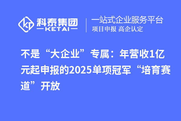 不是“大企業(yè)”專屬：年營收1億元起申報的2025單項冠軍“培育賽道”開放