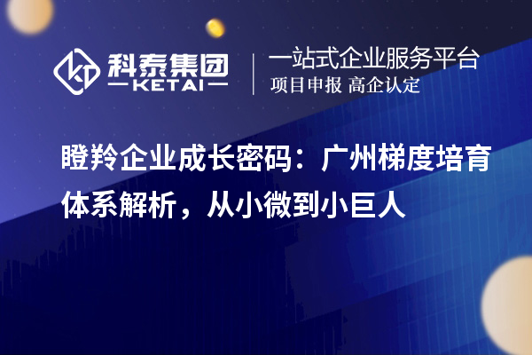 瞪羚企業(yè)成長密碼：廣州梯度培育體系解析，從小微到小巨人