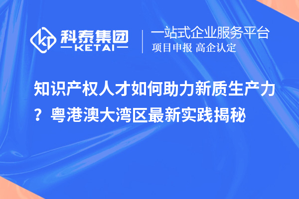 知識產(chǎn)權(quán)人才如何助力新質(zhì)生產(chǎn)力？粵港澳大灣區(qū)最新實踐揭秘