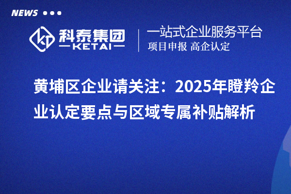 黃埔區(qū)企業(yè)請關(guān)注：2025年瞪羚企業(yè)認(rèn)定要點(diǎn)與區(qū)域?qū)傺a(bǔ)貼解析