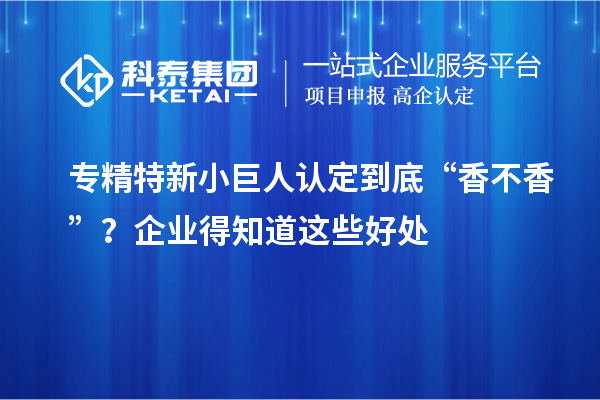 專精特新小巨人認(rèn)定到底“香不香”？企業(yè)得知道這些好處