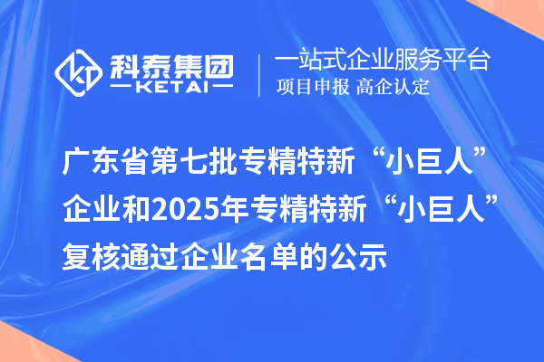 廣東省第七批專精特新“小巨人”企業(yè)和2025年專精特新“小巨人”復核通過企業(yè)名單的公示
