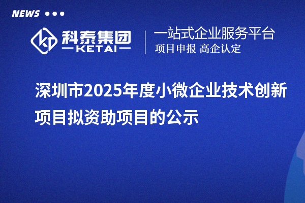 深圳市2025年度小微企業(yè)技術(shù)創(chuàng)新項(xiàng)目擬資助項(xiàng)目的公示