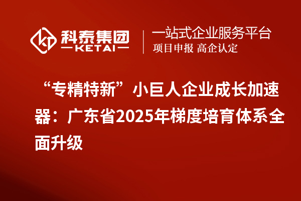 “專精特新”小巨人企業(yè)成長加速器：廣東省2025年梯度培育體系全面升級