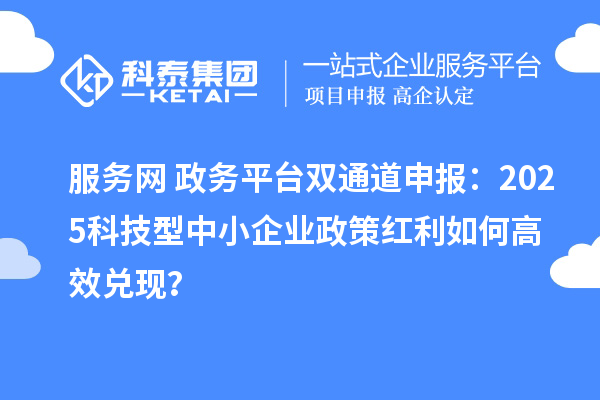 服務(wù)網(wǎng)+政務(wù)平臺雙通道申報：2025科技型中小企業(yè)政策紅利如何高效兌現(xiàn)？