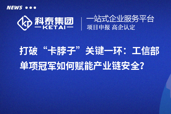 打破“卡脖子”關(guān)鍵一環(huán)：工信部單項冠軍如何賦能產(chǎn)業(yè)鏈安全？