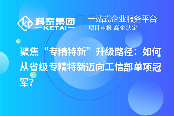 聚焦“專精特新”升級路徑：如何從省級專精特新邁向工信部單項冠軍？