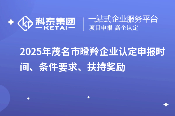 2025年茂名市瞪羚企業(yè)認(rèn)定申報(bào)時(shí)間、條件要求、扶持獎(jiǎng)勵(lì)